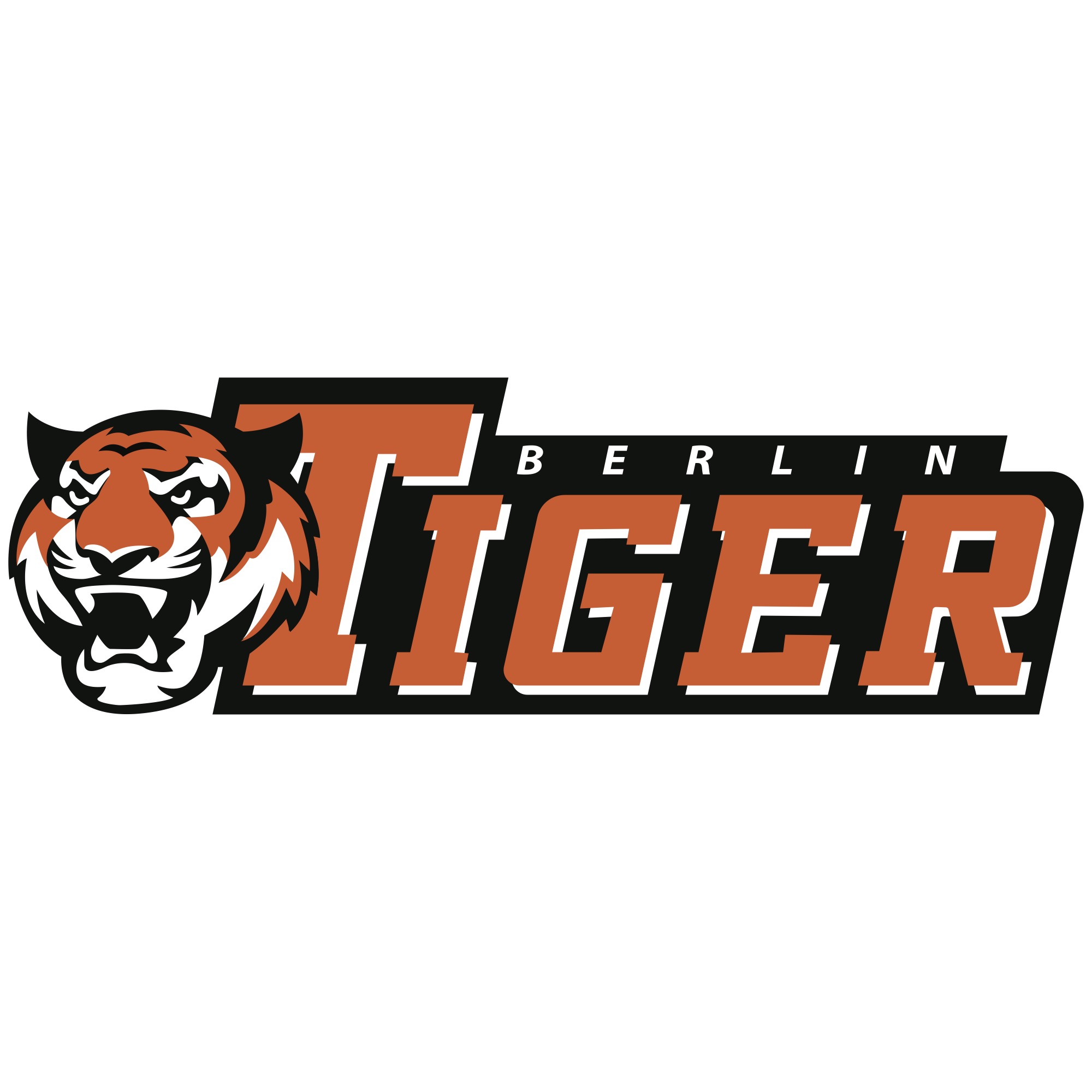 Thumbnail für Artikel Die Berlin Tiger unterstützen die OHS!